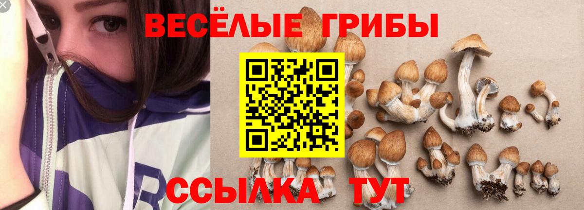 Псилоцибиновые грибы GOLDEN TEACHER Фурманов